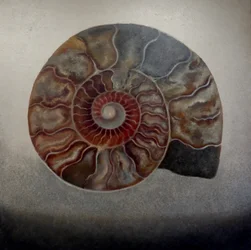 Silver Ammonite, 2024 (olja på duk)