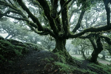 Forgotten Land II, 2025 (foto)