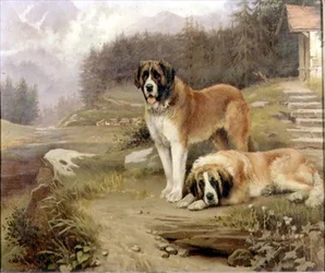 Två St. Bernards i ett alpint landskap