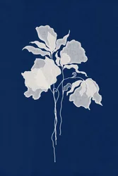 Eteriska vita blommor