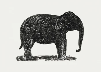 Elephant (ca 1891–1941)