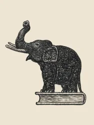Elefant på bok 1935