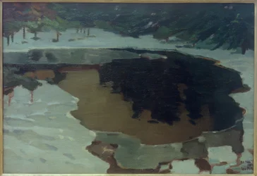 Myrsjö på vintern