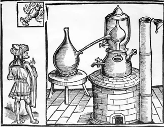 Illustration tagen från The Volatile Oils av Edward Gildemeister och Fr. Hoffmann, 1860