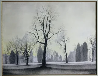 Parken, träd