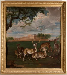 Dovhjortar i Hyde Park