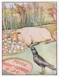 Och fåren somnade, illustration från 