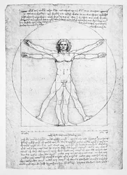 Människofigurens proportioner (efter Vitruvius), c.1492 (faksimil)
