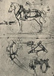 A Harnessed Cart-Horse and Studies of Sele, c1480 1945