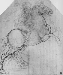 A Rider on a Rearing Horse, c1480 1945