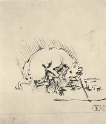 En enhörning som doppar sitt horn i vattnet, c1480 1945