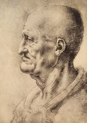 En man visad i profil, teckning av Leonardo da Vinci, bevarad i rummet för teckningar och tryck, Uffizigalleriet, Florens.