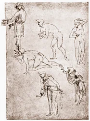 Tillbedjan av herdarna, c1478-1480.