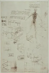 Anatomiestudien