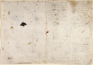 Arundel 263, f.225v, f.230 Ritningar på de mekaniska krafterna och krafterna, slagverk, gravitation, rörelse, optik och astronomi, med olika aritmetiska och geometriska propositioner (penna och bläck på papper)