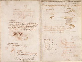 Arundel 263, f.278v, f.271 Anteckningar om verklighetskänslan i drömmar, på vatten och floderna Sieve och Arno (upp och ner), från 