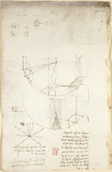Arundel 263, f.85v Diagram över optik, rörande reflektionens kaustik; not och skiss om mekanik, om slagverkskraften och med hänvisningar till den aristoteliska principen 