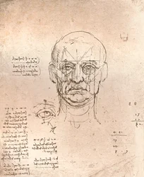 Ritning som illustrerar teorin om proportionerna i den mänskliga figuren, c1472-c1519 1883