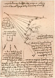 Teckning av ett manligt huvud, som illustrerar övningen att måla, c1472-c1519 1883