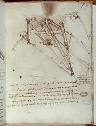Teckning av en flygmaskin. Manuskript av Leonardo da Vinci