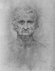 Full Face of an Old Man, c1480 1945