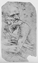 Halvlång karikatyr av en gammal man med en framträdande haka, c1480 1945