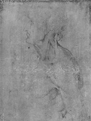 Huvud och byst av en gammal man till vänster, c1480 1945