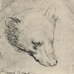 Head of a Bear, c1480 1945