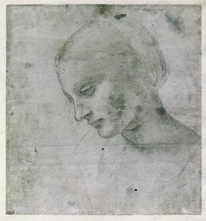 Huvud av en ung kvinna eller Jungfruhuvud, ca 1490 (silverstift på papper)