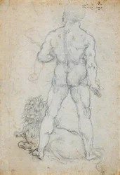 Herkules och det Nemeiska lejonet, ca. 1506-08 (kol och metallspets på vitt papper)
