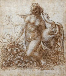 Leda och svanen (penna & brunt bläck över svart krita på papper)