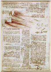 Leonardo da Vinci - RCIN 912660, Studier av vatten ca 1510-1512, 745082-1634741785