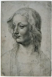 Maestro della Pala Sforzesca (milanesisk elev till Leonardo da Vinci), kvinnligt huvud med slöja kanske en studie för Jungfrun, GDSU 426 E