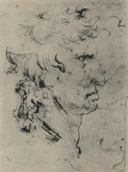 Profil av en man till höger, c1480 1945