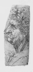 Profil till vänster om en äldre man med lockigt hår, c1480 1945
