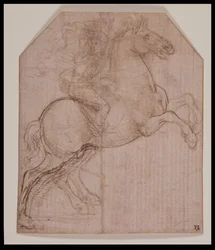 Ryttare på uppfödningshäst, ca 1481-82 (silverspets, penna och brunt bläck på förberett papper)