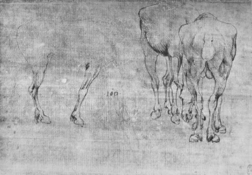 Studies of Horses Grazing, c1480 1945