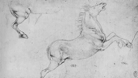 Studies of a Rearing Horse and a Horses Hind-Quarters, c1480 1945