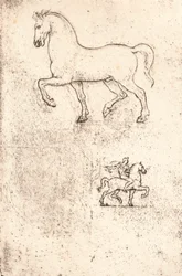Studie för Sforza-monumentet, c1482-c1499 1883