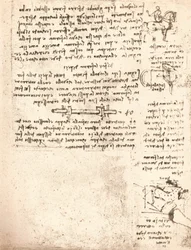 Studie för Sforza-monumentet, c1482-c1499 1883