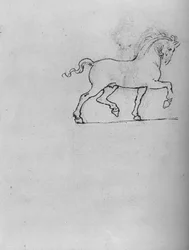 Study of a Horse, c1480 1945