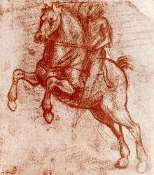 Studie av en riddare, av Leonardo De Vinci, 1913