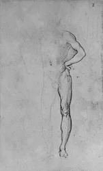 Studie av en naken man med sin vänstra hand på höften, c1480 1945