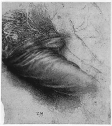 Studie av ett plagg för St Anne, 1503-1517 1954