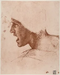 Studie av manligt huvud för slaget vid Anghiari, teckning av Leonardo da Vinci, sangvin på rosa papper, bevarad i Budapests konstmuseum.