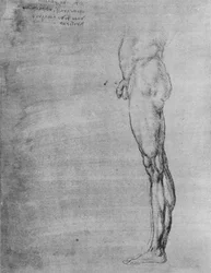 Studie av en mans kropp och ben, c1480 1945