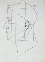 Människohuvudet, illustration för 