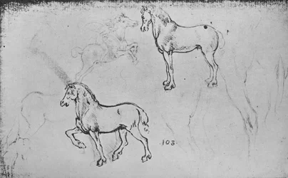 Två studier av hästar, en av en galopperande ryttare och andra av hästars ben, c1480 1945