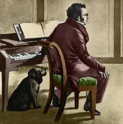 Porträtt av den österrikiske kompositören Franz Schubert