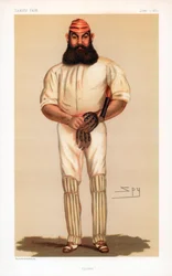 Cricket, 1877.